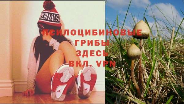 трава Абинск