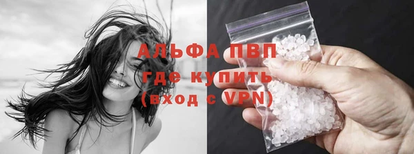 шишки Абаза