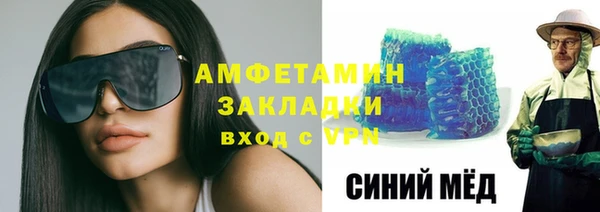 шишки Абаза