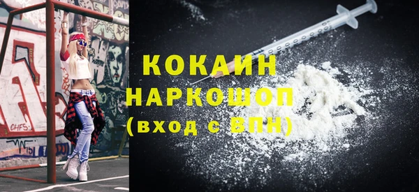 шишки Абаза
