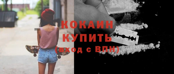 шишки Абаза