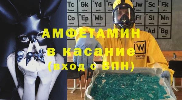 шишки Абаза